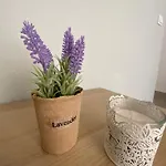 Mimi's * Polychrono