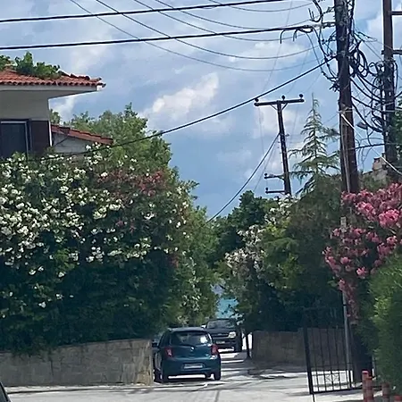 Mimi's * Πολύχρονο