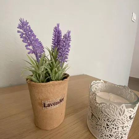 Mimi's * Πολύχρονο